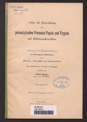 Ueber die Einwirkung der proteolytischen Fermente Pepsin und Trypsin auf Milzbrandbacillen