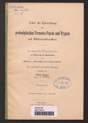 Ueber die Einwirkung der proteolytischen Fermente Pepsin und Trypsin auf Milzbrandbacillen