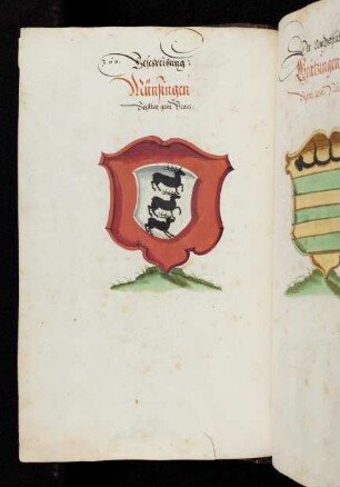 81v Münsingen