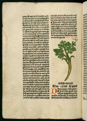 85v-86r, Wilde moren (147. Kapitel)