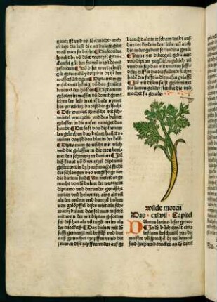 85v-86r, Wilde moren (147. Kapitel)