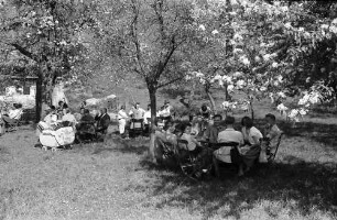 Vogtsburg: Gartenlokal unter Blüten