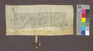 Weingültverschreibung des Berthold von Staufen gegenüber dem Basler Domkapitel als Kirchherrn zu Kirchhofen.