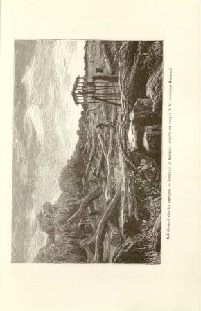 Défrichement chez les sauvages