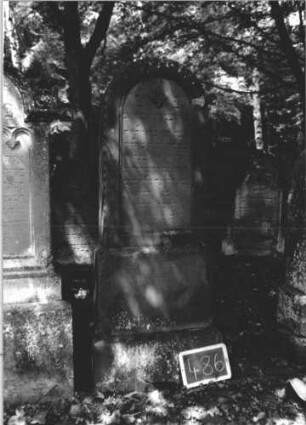 Grabstein 486 (Index: 99895561) Material: Sandstein Zustand: gut Maße HxBxT: 170x54x20 cm Beschreibung: Stele mit Rundbogenabschluss; Sockel Symbolik: vierblättrige Blüte: Grabstein 486 (1)