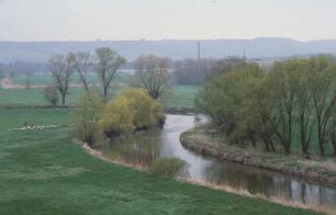 Schafherde auf Wiese an der Unstrut