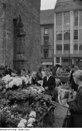 Blumenstand auf dem Marktplatz und Roland-Figur
