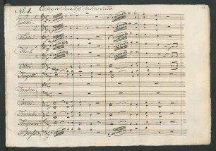 No. 1. Allegro maestoso e marcato - Siciliano. Largo - Allegro