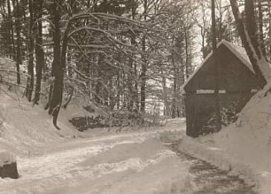 Rochlitzer Berg/Sachsen. Winterpartie an der Bergstraße