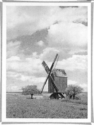 Danstedt. Mühle Ostermann oder Mühle Kampe, Ansichtskarte