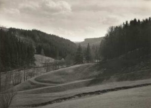 Sächsische Schweiz. Oberer Trebnitzgrund bei Börnchen