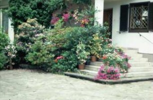 Fotografie: Studienreise, Gartenbau