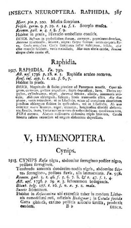 V. Hymenoptera