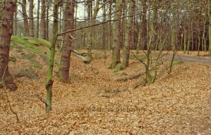 Ahrensfelde: Burg Arnesvelde: Blick in den Burggraben