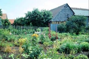 Nutzgarten mit blühenden Pflanzen