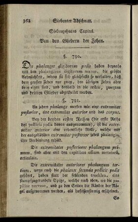 Siebenzehntes Capitel. Von den Gliedern der Zehen. § 790-792.
