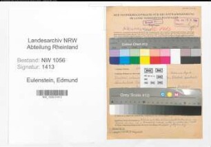 Entnazifizierung Edmund Eulenstein , geb. 06.09.1896 (Fluglehrer)