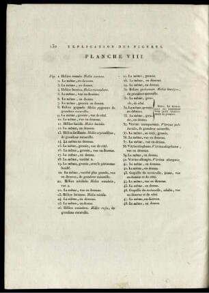 Explication des Figures. Planche VIII.