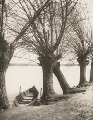 Westpreußen. An der Weichsel bei Marienwerder. An der Weichsel gegen Osten. Ein Boot am Ufer angelegt zwischen Weiden