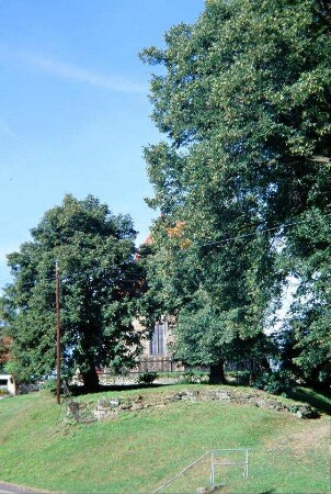 Freifläche vor der Kirche, Mauerreste des ehemaligen Gutes
