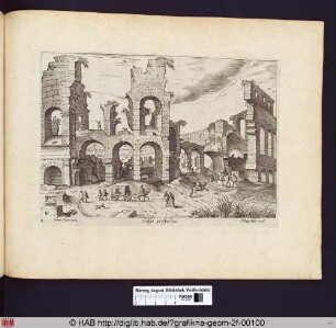 Colisei prospectus