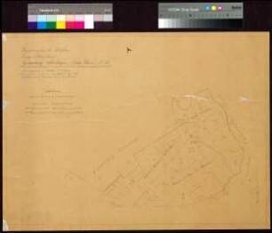 Gemarkungskarte der Gemarkung Falkenhagen (Luch-Wiesen) Nr. 39. Bl. 2 - Kossäten- und Bauerngemeinde Falkenhagen