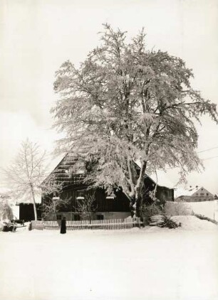 Seiffen-Heidelberg. Verschneites Haus am Wiesenweg