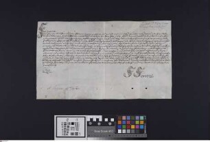 Wimpfen: Eidesformel (littera juramenti) eines Franz Frhr.n von Roll