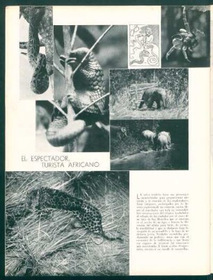 El espectador, turista africano
