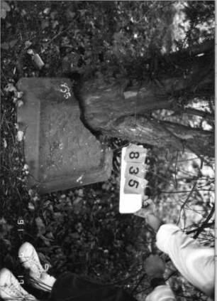 Grabstein 835