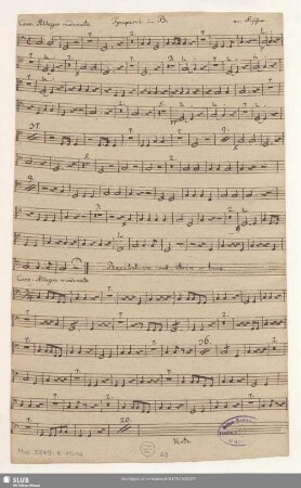 Tympani