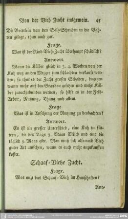 Schaaf-Viehe Zucht
