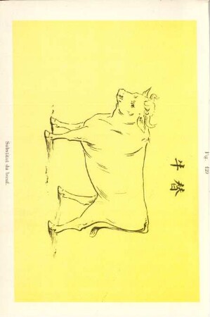 Fig. 129. Substitut du boeuf