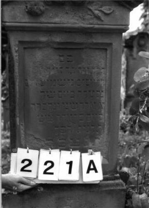 Grabstein 221 (Index: 100095869) Maße HxBxT: 118x52x20 cm Symbolik: Rosenzweig: Grabstein 221A