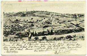 Der Oelberg [Jerusalem]