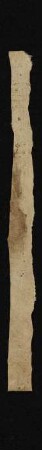 Fragment 2 (Blattstreifen 4-6): Doctrinale cum commento (14. Jh.)