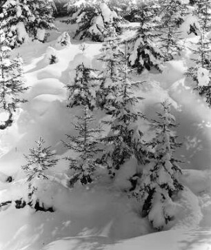 Winterlandschaft
