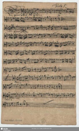 Viola 1[m]a