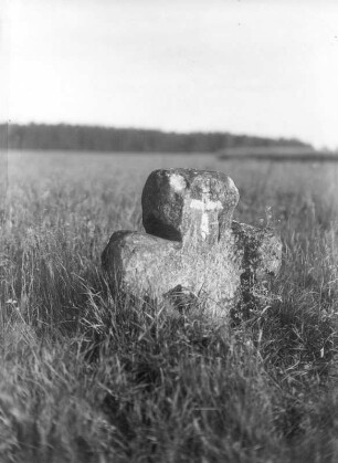 Steinkreuz : Höckendorf, Steinkreuz (Tatzenkreuz) auf einer Wiese an der Flurgrenze zu Großnaundorf südöstlich des Ortes