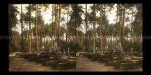 Soldatenfriedhof im polnischen Wald