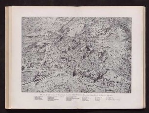 Abb. 123. Jerusalem aus der Vogelschau.