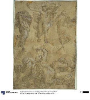 Transfiguration