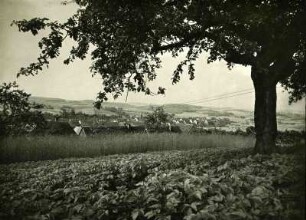 Otterbach bei Kaiserslautern