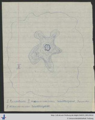 Zeichnung
