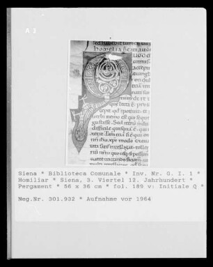 Homiliar — Initiale Q, Folio fol. 189 v