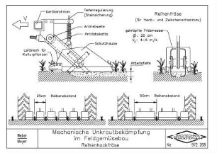 Mechanische Unkrautbekämpfung im Feldgemüsebau Reihenhacke