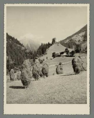 Weg bei Mayrhofen