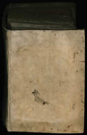 Epistolae virorum doctorum ad Samuelem Andreae : Ms. Diez. C qu. 71
