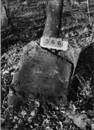 Grabstein 366