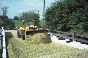 Fotografie: Ein- und Auslagerungstechnik, Flachsilo, Maissilage, Radlader